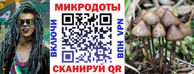 Галлюциногенные грибы Psilocybine cubensis  Гаврилов Посад 